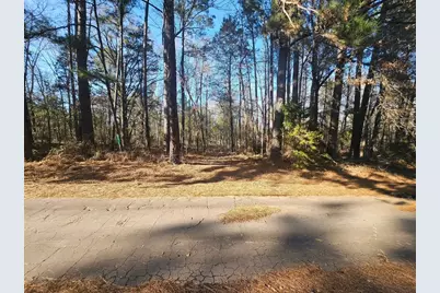 152 County Road 4247, Pittsburg, TX 75686 - Photo 1