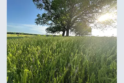 Tbd County Road 1895, Sunset, TX 76270 - Photo 11