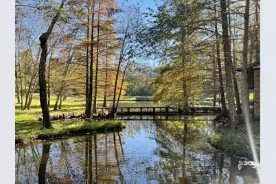 22233 County Road 223, Arp, TX 75750 - Photo 7