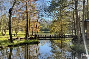 22233 County Rd 223, Arp, TX 75750 - Photo 7