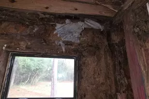 55 Birch St, Trinity, TX 75862 - Photo 15