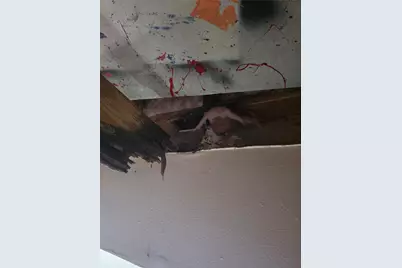 55 Birch Street, Trinity, TX 75862 - Photo 9