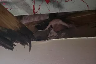 55 Birch St, Trinity, TX 75862 - Photo 9