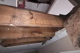 55 Birch St, Trinity, TX 75862 - Photo 31