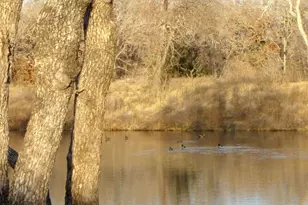 10+ Ac Lcr 102 Rd, Axtell, TX 76673 - Photo 31