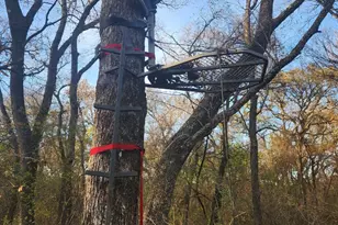 10+ Ac Lcr 102 Rd, Axtell, TX 76673 - Photo 33