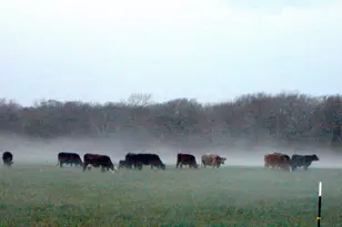 25+ Ac Lcr 102 Rd, Axtell, TX 76673 - Photo 27