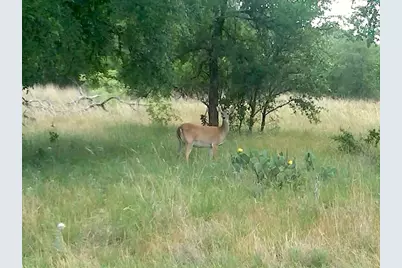 25+ Ac. Lcr 102 Road, Axtell, TX 76673 - Photo 29