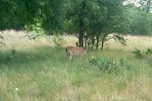 58+ Ac Cr 102 Rd, Axtell, TX 76673 - Photo 35