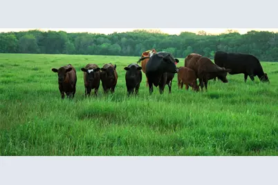 58+ Ac. Cr 102 Road, Axtell, TX 76673 - Photo 31