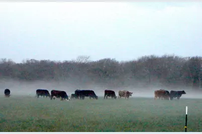58+ Ac. Cr 102 Road, Axtell, TX 76673 - Photo 33