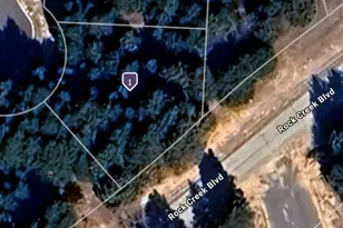 30 Aston Oaks Ct, Gordonville, TX 76245 - Photo 1