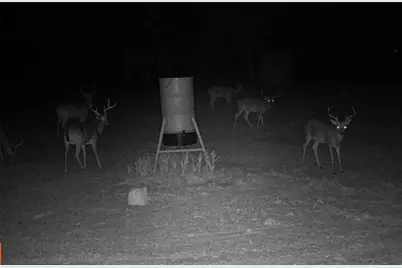 Tbd3-1 N Fm 730, Decatur, TX 76234 - Photo 9