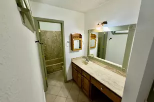 301 E Milas Ln, Glenn Heights, TX 75154 - Photo 13