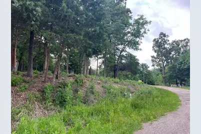 Tbd E Walnut Trail, Murchison, TX 75778 - Photo 3