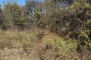 0000 Ridge Crest, Lone Oak, TX 75453 - Photo 7