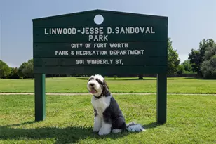 241 Wimberly St, Fort Worth, TX 76107 - Photo 5