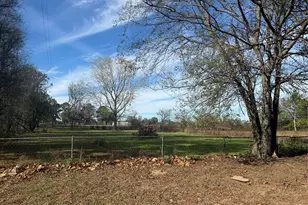 5203 E Hwy 69, Alba, TX 75410 - Photo 5