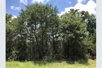 1190 N Lakeview Drive, Palo Pinto, TX 76484 - Photo 3