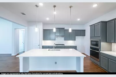 16729 Freshwater Drive, Celina, TX 75009 - Photo 3