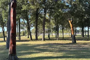 2387 Forehand Rd, Trinidad, TX 75163 - Photo 1