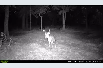 2387 Forehand Road, Trinidad, TX 75163 - Photo 5