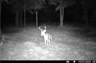 2387 Forehand Rd, Trinidad, TX 75163 - Photo 5