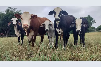 Tbd #16 Out Of 13345 Briar Road, Azle, TX 76020 - Photo 23