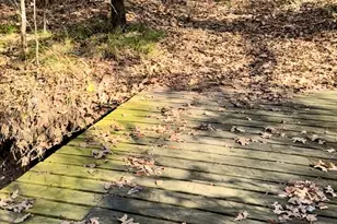 10051 Private Rd 2429, Terrell, TX 75160 - Photo 29