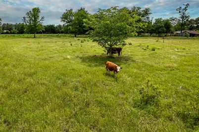 7037 E U.S. Hwy 80, Hawkins, TX 75765 - Photo 35