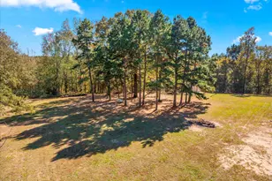 170 Pr 52423, Leesburg, TX 75451 - Photo 13