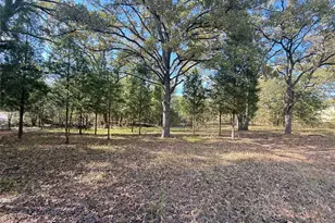 Lot 11 Harris Blvd, Malakoff, TX 75148 - Photo 1