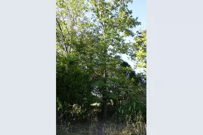 1688 Doc Holiday Dr, Log Cabin, TX 75148 - Photo 13