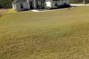 1004 County Road 407A, Nemo, TX 76070 - Photo 7