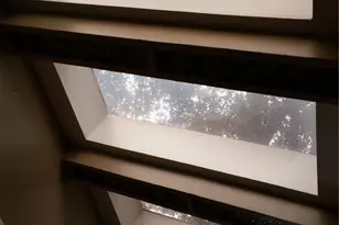 7604 Village Trail Dr, Dallas, TX 75254 - Photo 21