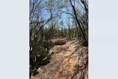 917 S Interstate Highway 20 Highway, Trent, TX 79561 - Photo 3