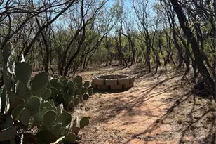 917 S Interstate Hwy 20 Hwy, Trent, TX 79561 - Photo 3