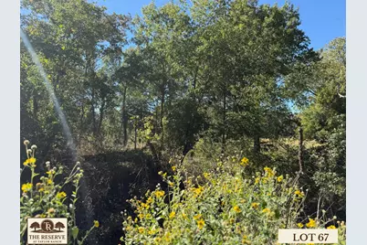 Lot 67 Camden Lane, Springtown, TX 76082 - Photo 21