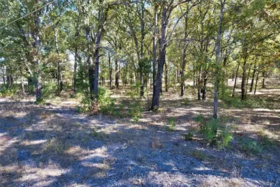 7559 N US Highway 69, Alba, TX 75410 - Photo 15