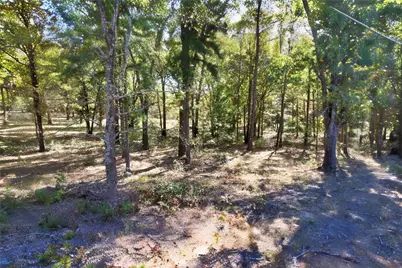 7559 N US Highway 69, Alba, TX 75410 - Photo 13