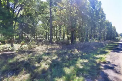 7559 N US Highway 69, Alba, TX 75410 - Photo 9