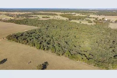 Tbd 45 Acres Hcr 1446 Road, Blum, TX 76627 - Photo 13