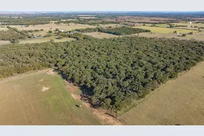 Tbd 45 Acres Hcr 1446 Road, Blum, TX 76627 - Photo 15