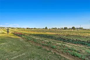 14112 Zealand Dr, Pilot Point, TX 76258 - Photo 9