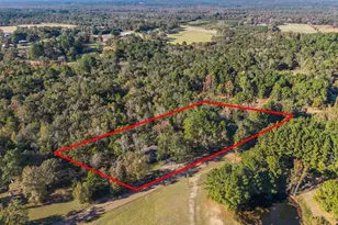 10981 Co Rd 3405, Brownsboro, TX 75756 - Photo 13