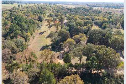 6335 County Road 3602, Bullard, TX 75757 - Photo 27