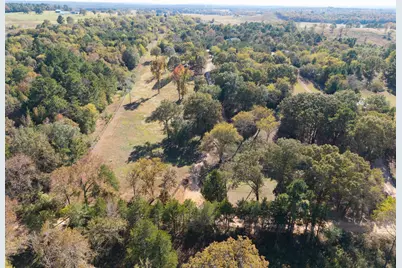 6335 County Road 3602, Bullard, TX 75757 - Photo 35