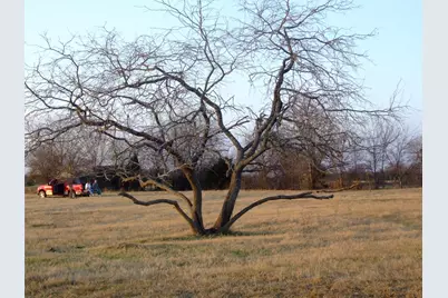 Tbd Cr-122, Kaufman, TX 75142 - Photo 19