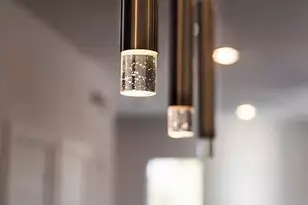 2315 N Carroll Ave, Dallas, TX 75204 - Photo 29