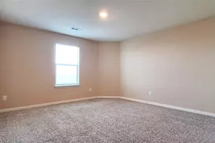 287 Wandering Stream Way, Princeton, TX 75407 - Photo 15